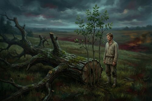 Через несколько лет на месте поваленного молнией дуба-дедушки вырастают три молодых дубка.